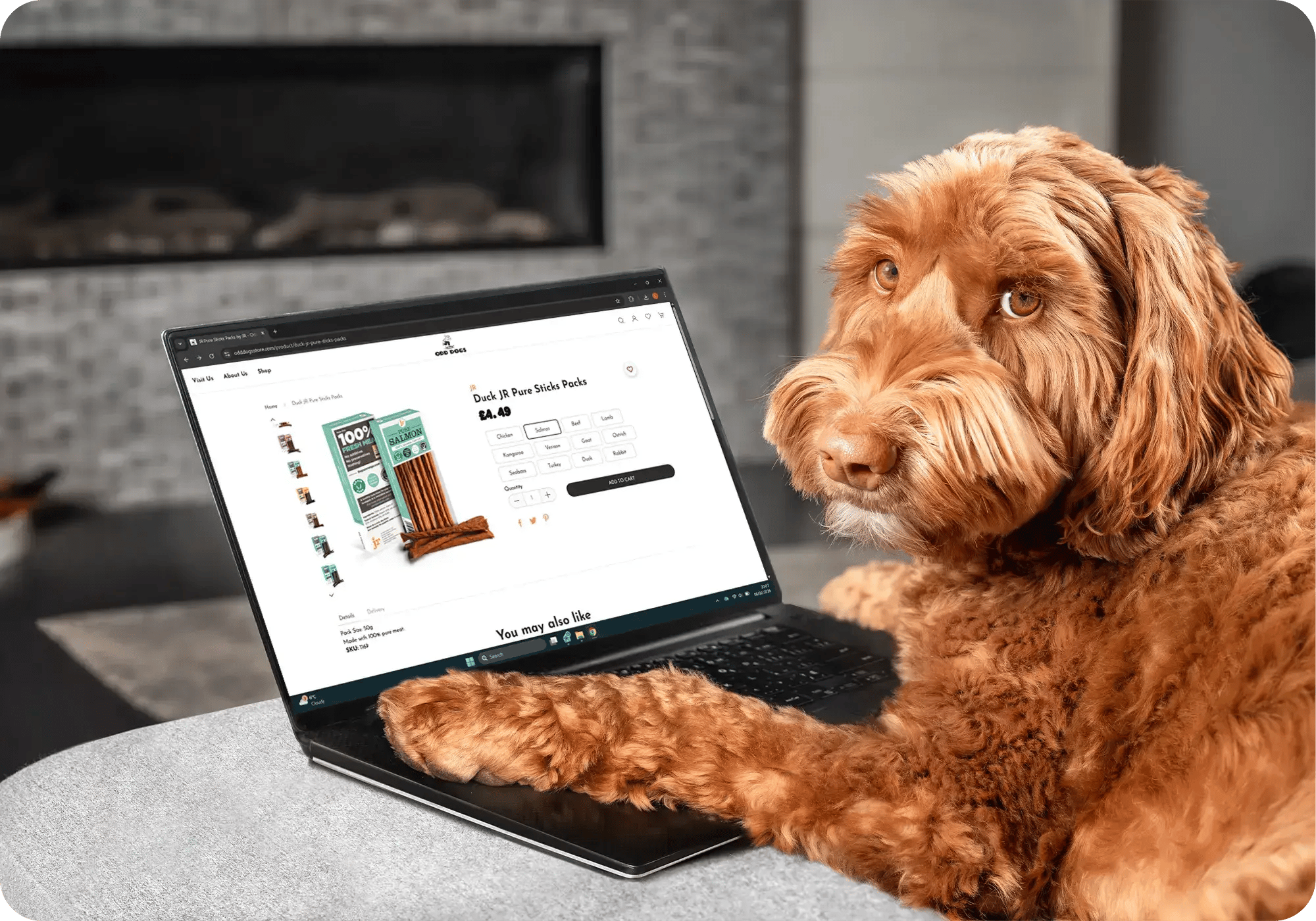 pet-aquatic-store-ecommerce-platform