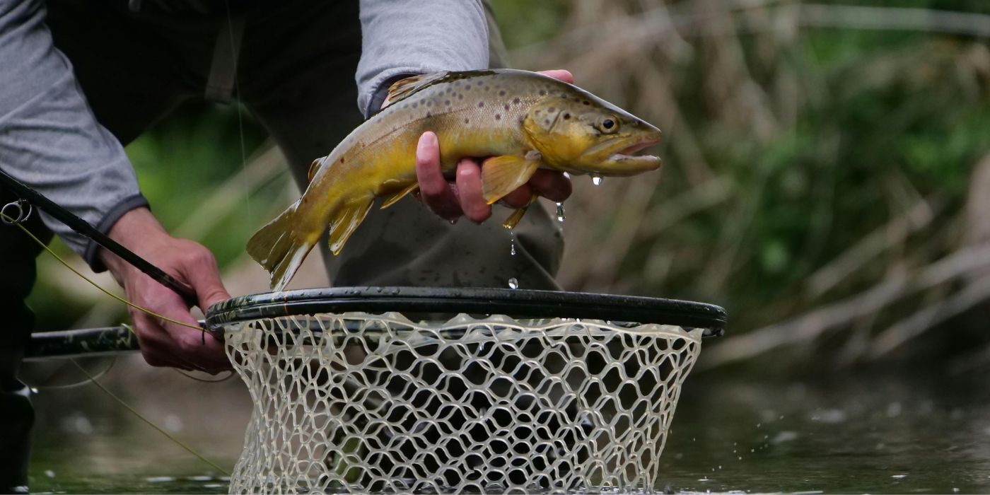 The Guide to Casting a Wider Net for Multi-Channel Angling Retailers